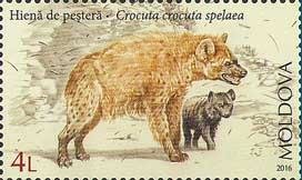 Colnect-3754-235-Cave-Hyena-Crocuta-Crocuta-Spelaea.jpg