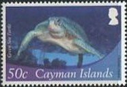 Colnect-4075-720-Green-Sea-Turtle-Chelonia-mydas.jpg