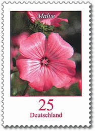 Colnect-580-100-Lavatera-trimestris---Mallow.jpg