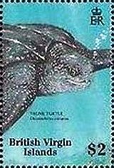 Colnect-6079-921-Leatherback-Sea-Turtle-Dermochelys-coriacea.jpg