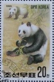 Colnect-865-212-Giant-Panda-Ailuropoda-melanoleuca.jpg