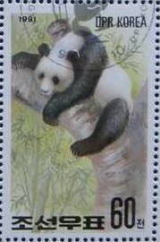 Colnect-865-216-Giant-Panda-Ailuropoda-melanoleuca.jpg