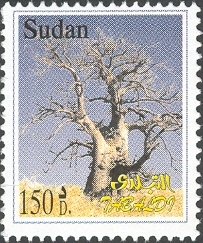 Colnect-1553-019-Flora---Baobab-Tree-Adansonia-digitata.jpg