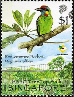 Colnect-609-914-Red-crowned-Barbet-Psilopogon-rafflesii.jpg