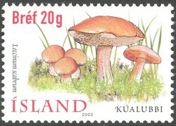 Colnect-439-613-Kualubbi-Leccinum-scabrum.jpg