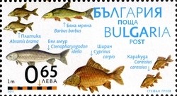 Colnect-1389-980-Freshwater-Bream-Barbel-Grass-Carp-Common-Carp-Crucian-C.jpg