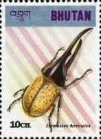 Colnect-3381-434-Hercules-Beetle-Dynastes-hercules.jpg