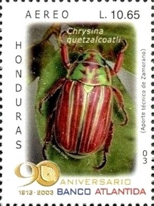 Colnect-3742-041-Jewel-Scarab-Beetle-Chrysina-quetzalcoatli.jpg