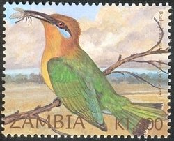 Colnect-934-589-B%C3%B6hm-s-Bee-eater-Merops-boehmi.jpg