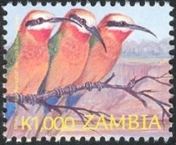 Colnect-938-669-White-fronted-Bee-eater-Merops-bullockoides.jpg