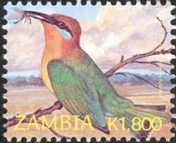 Colnect-938-672-B%C3%B6hm-s-Bee-eater-Merops-boehmi.jpg