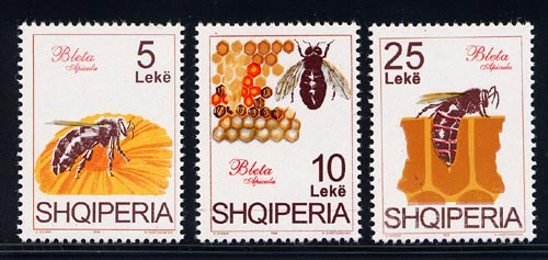 Skap-albania_07_bees_2466-2468.jpg