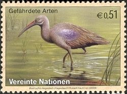 Colnect-1633-523-Hadada-Ibis-Bostrychia-hagedash.jpg