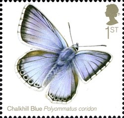 Colnect-1893-244-Chalkhill-Blue-Polyommatus-coridon-.jpg