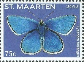 Colnect-2624-585-Adonis-Blue-Lysandra-bellargus.jpg