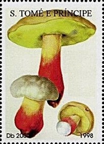 Colnect-1045-965-Boletus-satanas.jpg