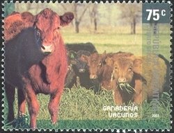 Colnect-1261-631-Cattle-Bos-primigenius-taurus.jpg