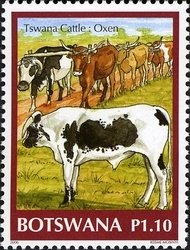 Colnect-1424-539-Cattle-Bos-primigenius-taurus.jpg