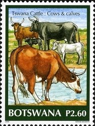 Colnect-1424-540-Cattle-Bos-primigenius-taurus.jpg