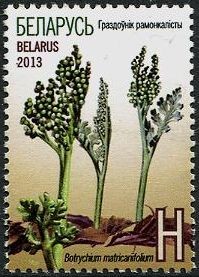 Colnect-2734-109-Moonwort---Botrychium-matricariifolium.jpg