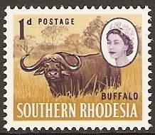 Colnect-1726-479-African-Buffalo-Syncerus-caffer.jpg