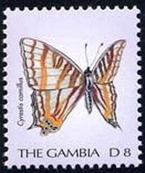 Colnect-2342-612-African-Map-Butterfly-Cyrestus-camillus.jpg