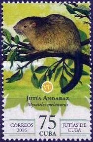 Colnect-3510-780-Black-tailed-Hutia-or-Bushy-tailed-Hutia-Mysateles-melanuru.jpg