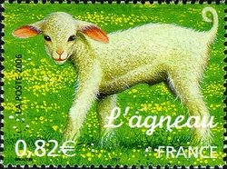 Colnect-582-578-Lamb-Ovis-ammon-aries.jpg