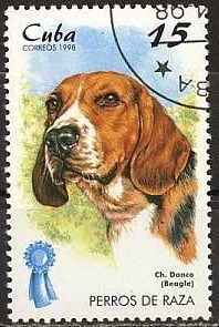 Colnect-1235-546-Beagle-Canis-lupus-familiaris.jpg