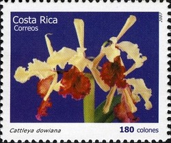 Colnect-1723-395-Cattleya-dowiana.jpg