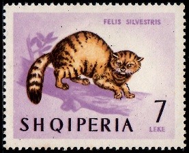 Colnect-2591-350-Wildcat-Felis-silvestris.jpg