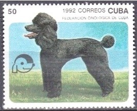 Colnect-2974-233-Poodle-Canis-lupus-familiaris.jpg