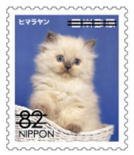 Colnect-3531-025-Himalayan-Cat-Felis-Silvestris-Catus.jpg