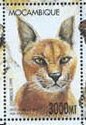 Colnect-5128-847-Caracal-caracal.jpg