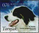 Colnect-537-120-Tornjak-Canis-lupus-familiaris.jpg