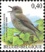 Colnect-567-433-Spotted-Flycatcher-Muscicapa-striata.jpg