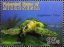 Colnect-5727-246-Caretta-caretta.jpg