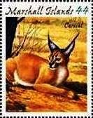 Colnect-6004-560-Caracal-Caracal-caracal.jpg