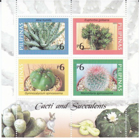 Colnect-2898-855-Cacti-and-Succulents-of-the-Philippines.jpg