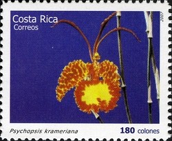 Colnect-1723-393-Psychopsis-krameriana.jpg