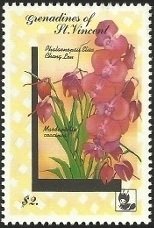 Colnect-2985-604--ldquo-Phalaenopsis-rdquo--Elisa-Chang-Lou-and--ldquo-Masdevallia-coccinea-rdquo-.jpg