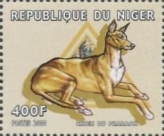 Colnect-5403-724-Chien-du-pharaon.jpg