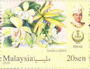 Colnect-5448-297-Orchids-of-Malaysia.jpg