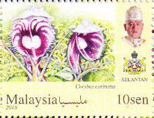 Colnect-5448-319-Orchids-of-Malaysia.jpg