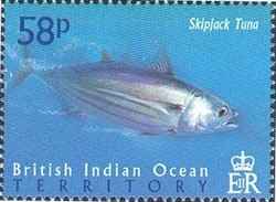 Colnect-1425-768-Skipjack-Katsuwonus-pelamis.jpg