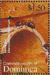 Colnect-3262-333-Little-Black-Ant-Monomorium-minimum.jpg