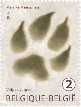 Colnect-4780-425-Track-of-Vulpes-Vulpes.jpg