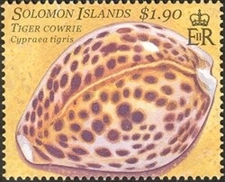 Colnect-1428-804-Tiger-Cowrie-Cypraea-tigris.jpg