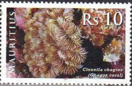 Colnect-2363-155-Chagos-Coral-Ctenella-chagius.jpg