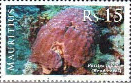 Colnect-2363-156-Lobe-Coral-Porites-lobata.jpg